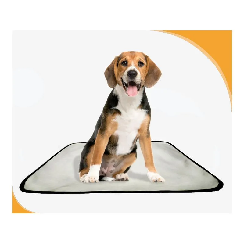 Tapete De Cuidados Para Cachorros - 4 Unidades M - 60x80 Cm