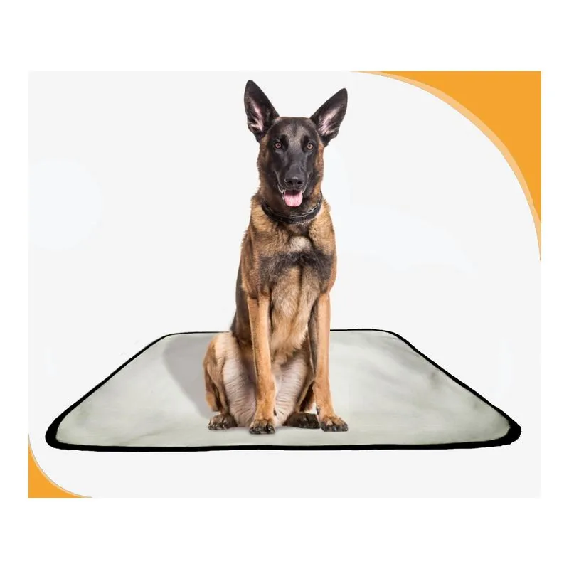 Tapete De Cuidados Para Cachorros - 5 Unidades G 90x100 Cm