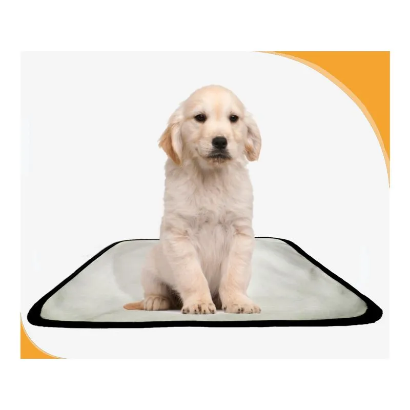 Banheiro Para Cães Higiênico Lavável 3 Un P - 50 X 60 Cm