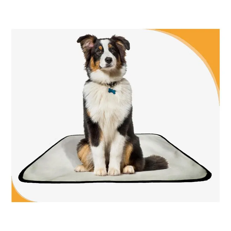 Banheiro Canino Móvel Reutilizável Pet 1un G 90x100cm