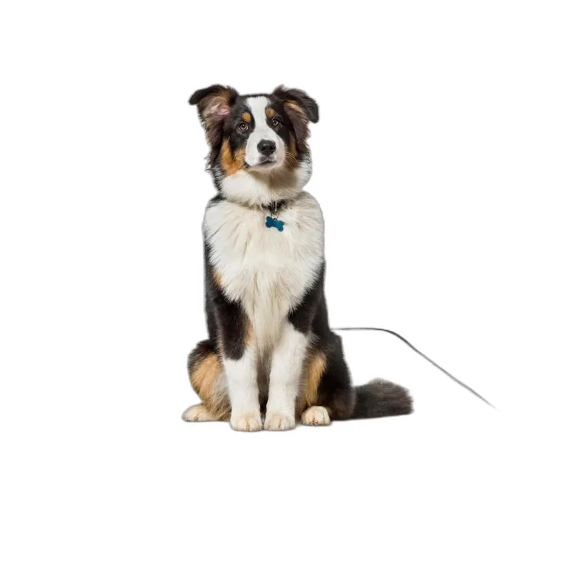 Banheiro Canino Móvel Reutilizável Pet 4un G 90x100cm