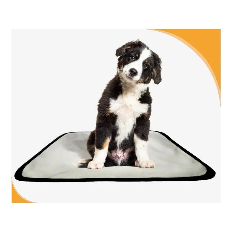 Tapete Para Cães Fazerem Xixi Educar Pet 3 Un P 50x60 Cm