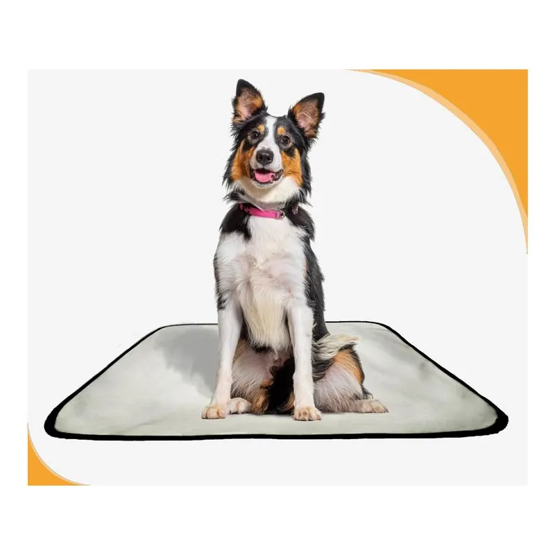 Tapete Para Cães Fazerem Xixi Educar Pet 4 Un M 60x80 Cm