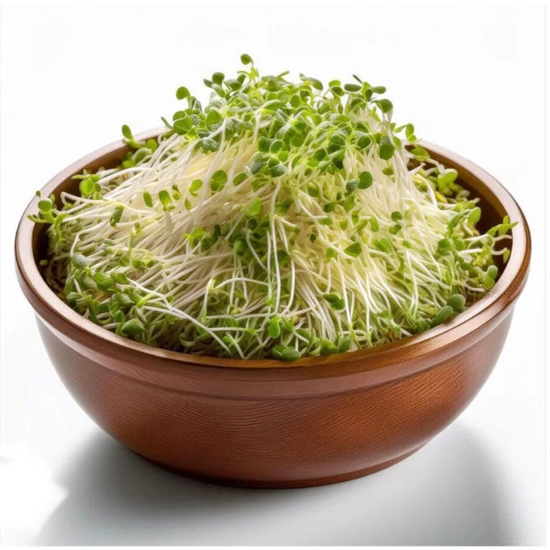 Brotes del alfalfa 125 grs Brotes de alfalfa 125 grs