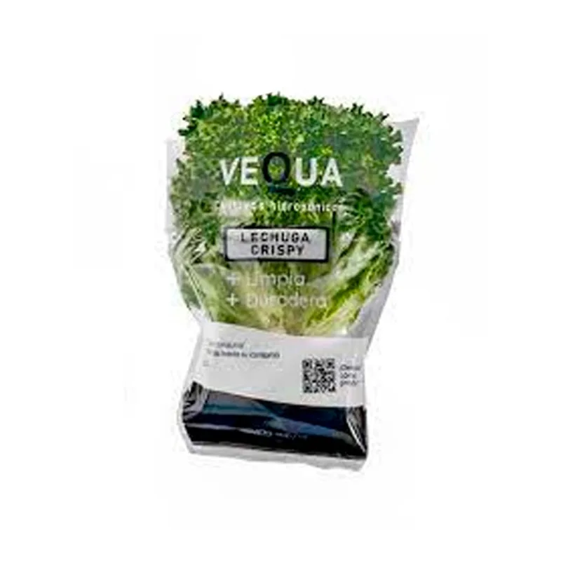 Lechuga Crispy Hidroponica Vequa