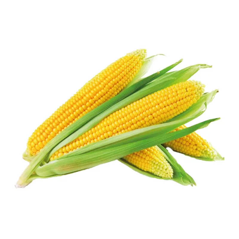 Choclos S/lavar 600 Grs