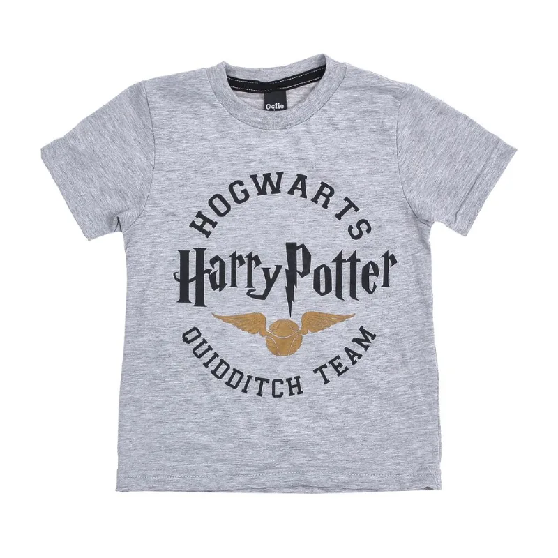 Remera manga corta Harry Potter talle 16 años melange