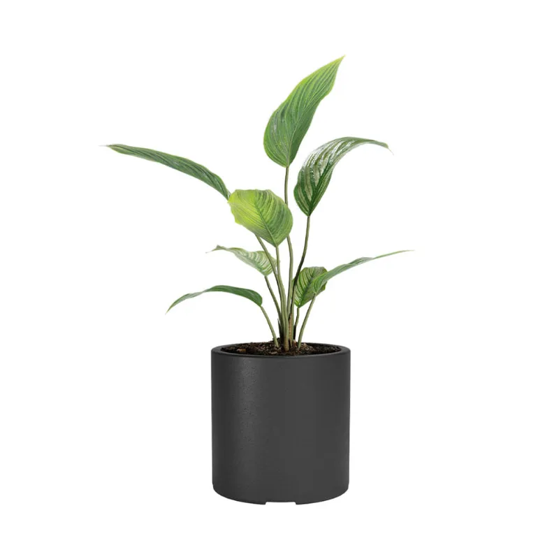Maceta Plastica Amalfi Cilindro 30 Negro