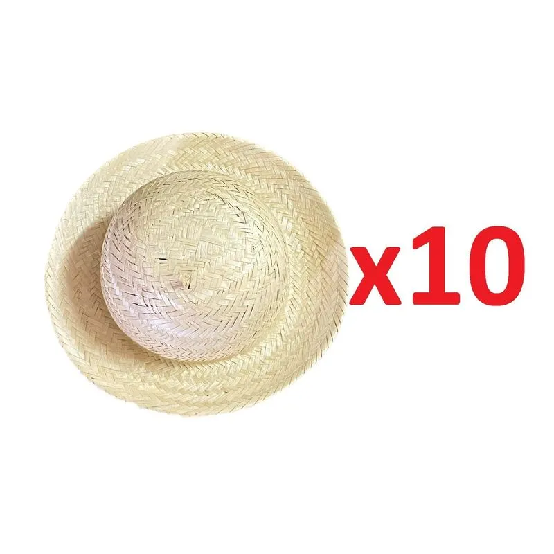 10 Un Mini Chapéu De Palha 25,5cm Para Fantasia Festa Junina