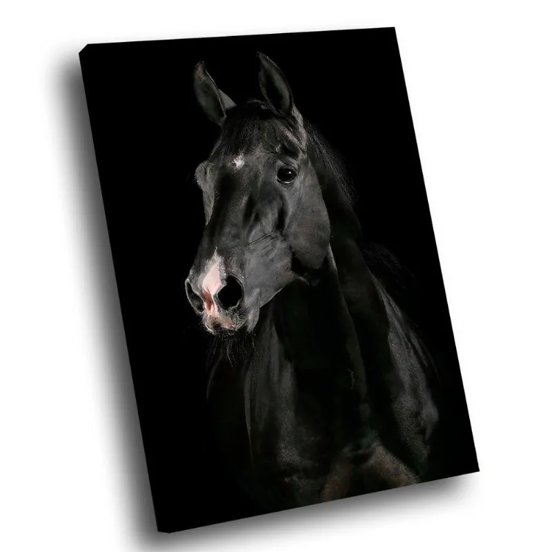 Quadro Cavalo Preto Br Artes Pequeno 60x40