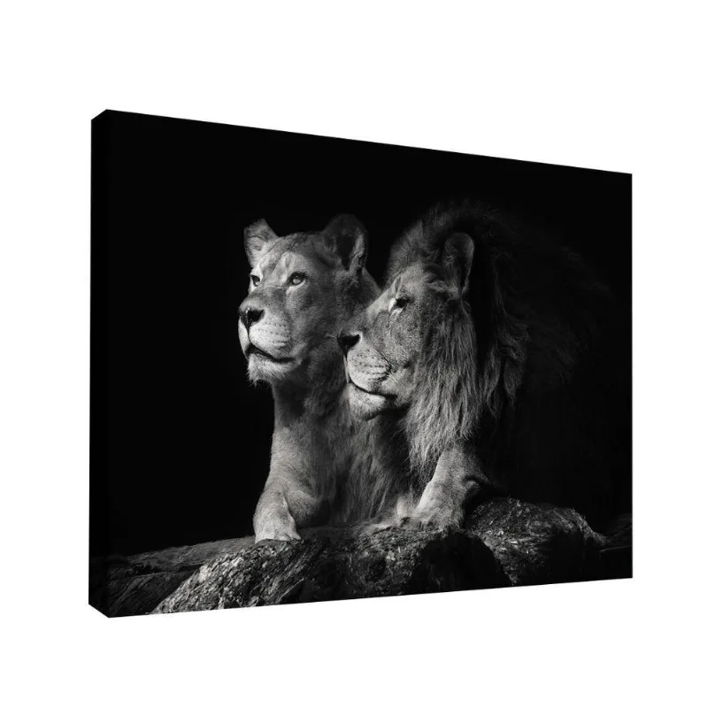 Quadro Casal De Leões Br Artes Médio 84x54