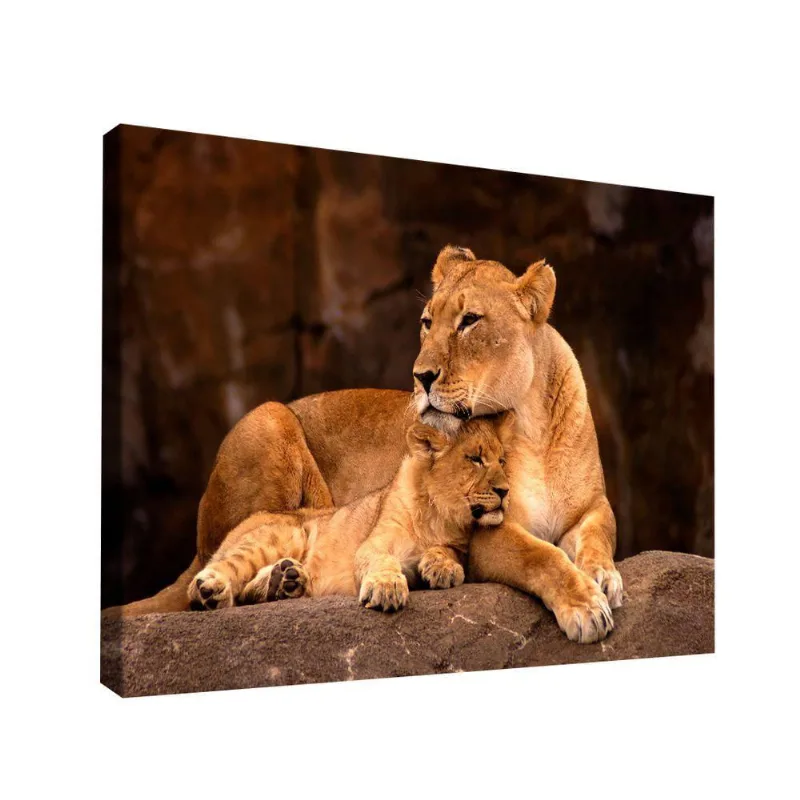 Quadro Leoa E Filhote Br Artes Pequeno 60x40
