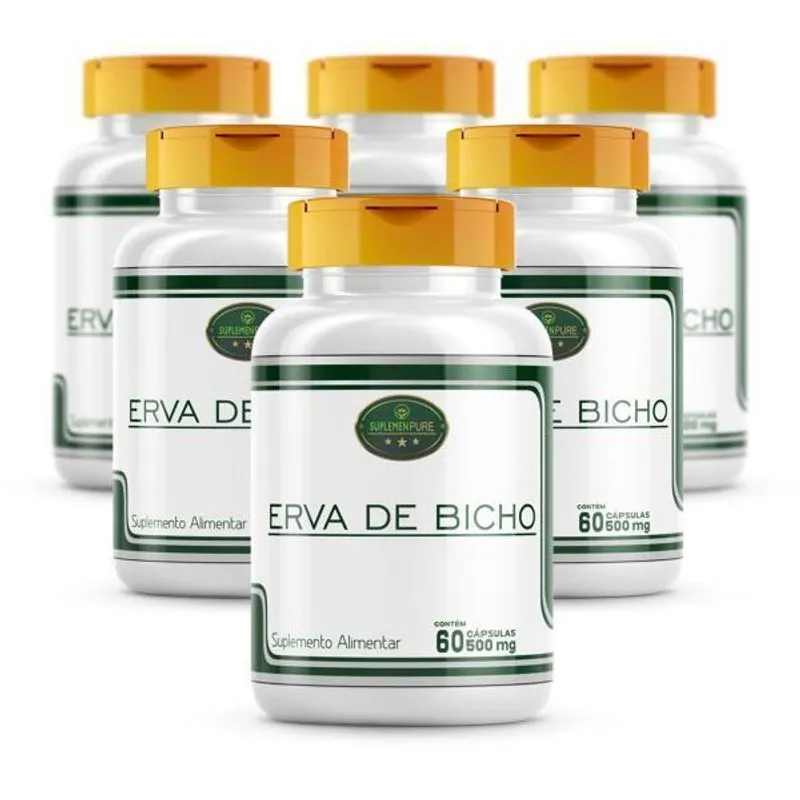 Erva De Bicho 6 Potes Cáps 500mg 100% Natural E Pura