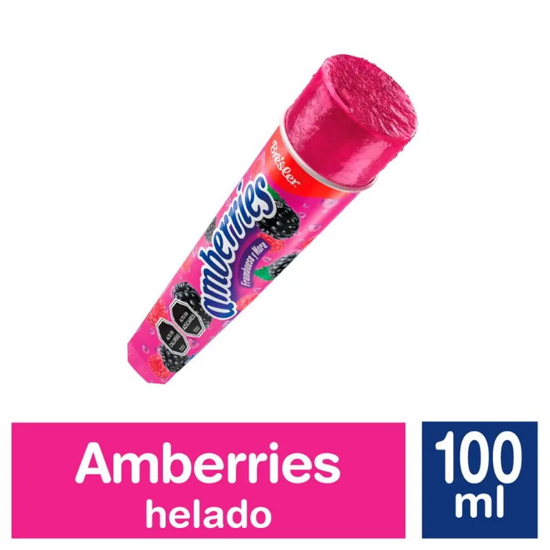 Helado Bresler Amberries 100 ml