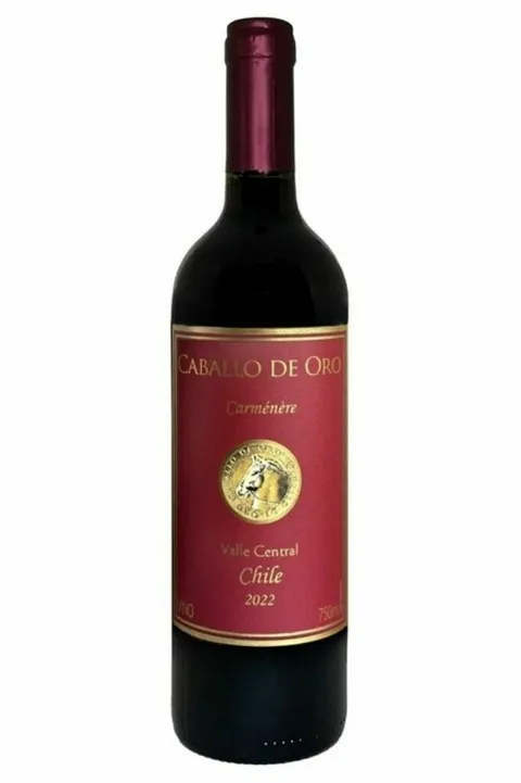Vinho Chileno Tinto Caballo De Oro Carménère 750ml - Empório Itiê