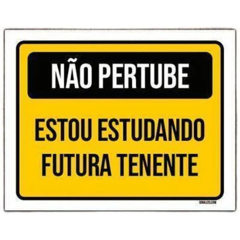 Kit 5 Placa Não Perturbe Estudando Futura Tenente
