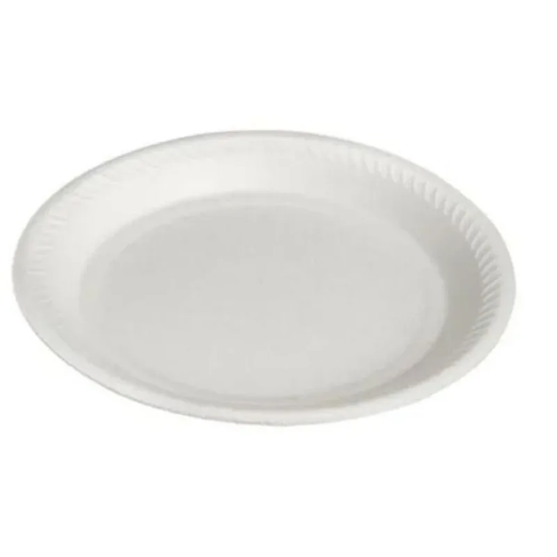 Prato De Isopor Térmico (0,23cm) Com 100 Unidades