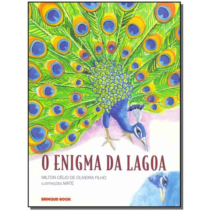 Enigma Da Lagoa, O + Marca Página