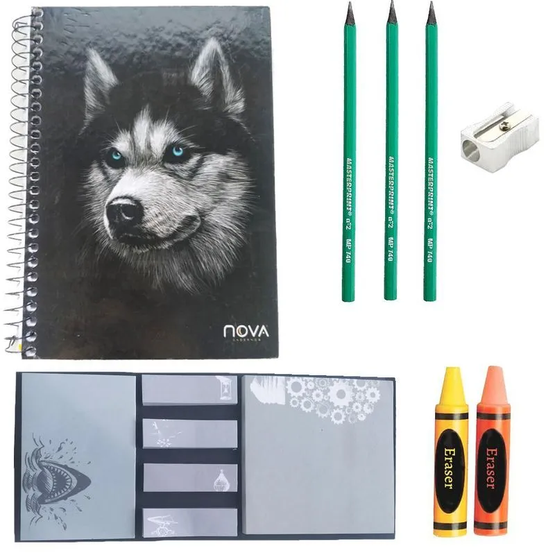 Kit Material Escolar Universitário Combo Faculdade Caderno
