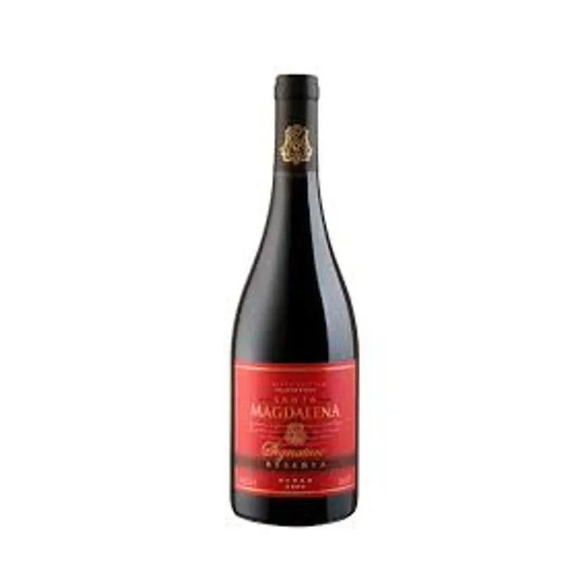 Vinho Syrah Chi Tto Santa Magdalena Safra 2020 750ml