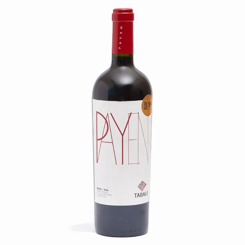 Vino Tabalí Payen Syrah 750 cc