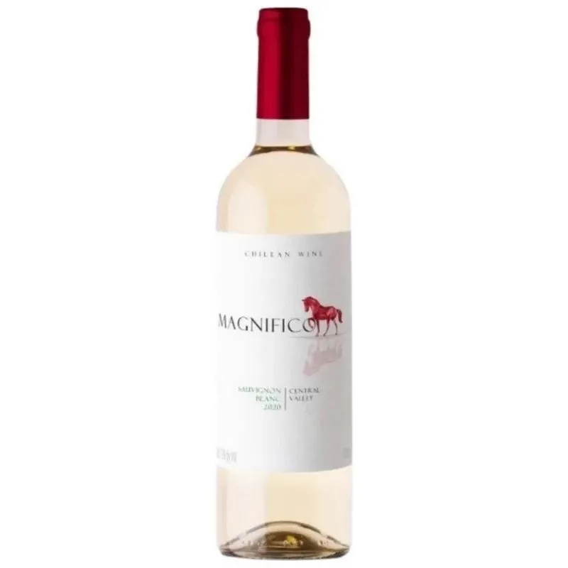 Vinho Magnifico Sauvignon Blanc 750 Ml