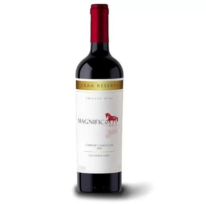 Vinho Magnifico Cab. Sauvignon Gran Reserva 750ml
