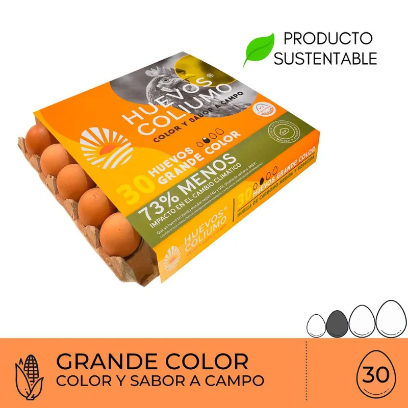 Huevos Coliumo Premium Grandes Color 30 un.