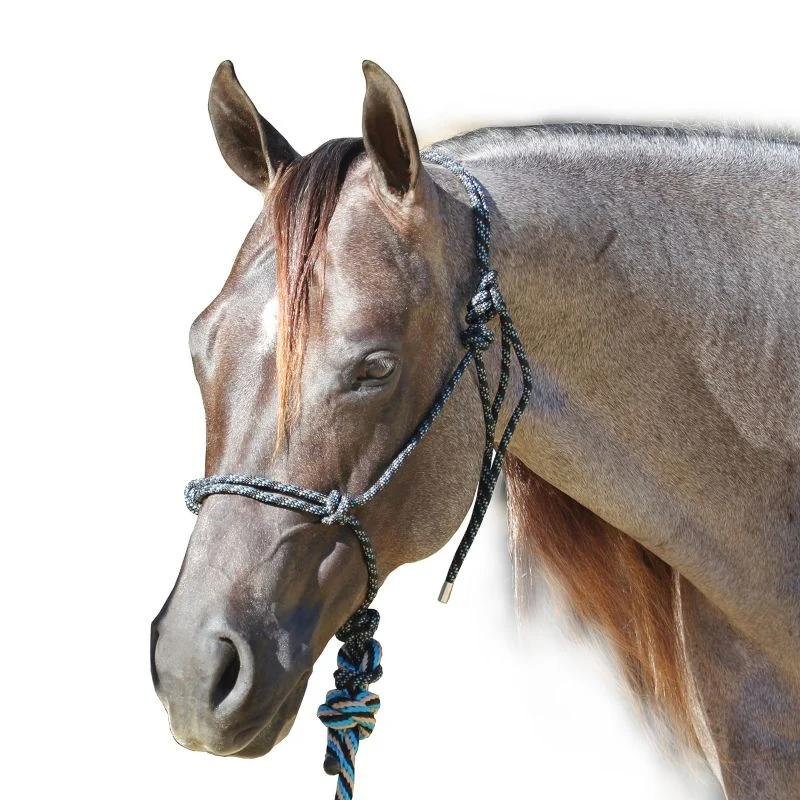 Professionals Choice Rope Halter with Lead Black/Turquoise / Horse Average (800-1100lbs)