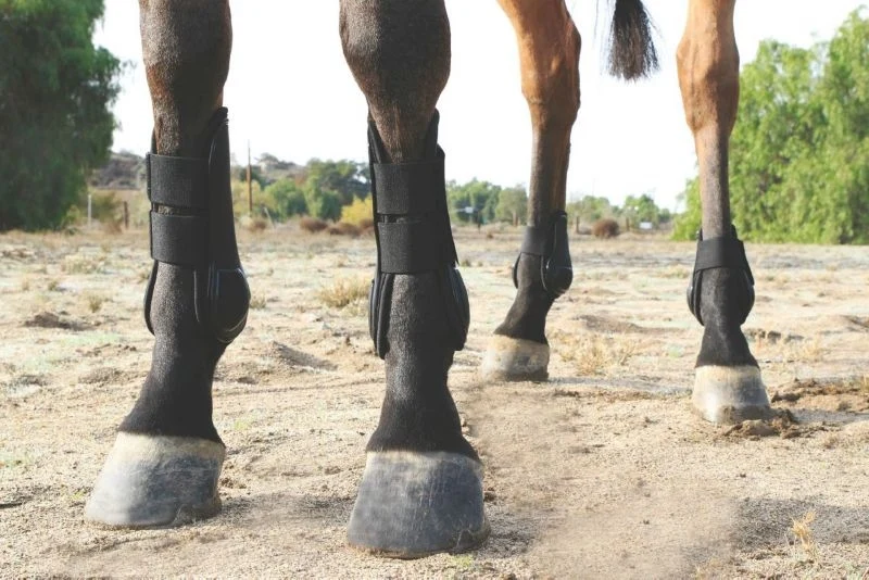 Pro Choice Tendon Open Front Air Shock BootBrn Black / Sold in Pairs