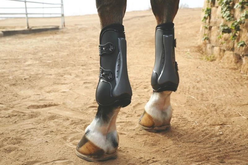 Professionals Choice Tendon Air Shock Tpu BootBrn Black / Sold in Pairs