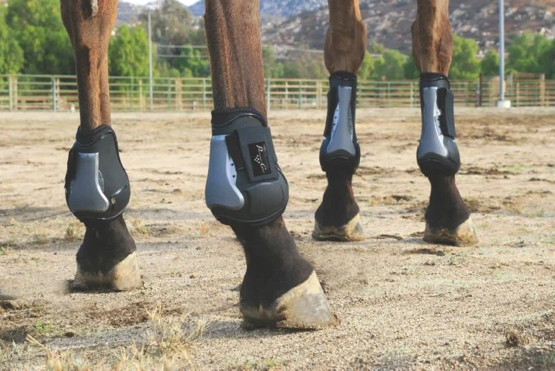 ProChoice Rear Tendon OpenFront Air Shock Boot Blk Black / Medium