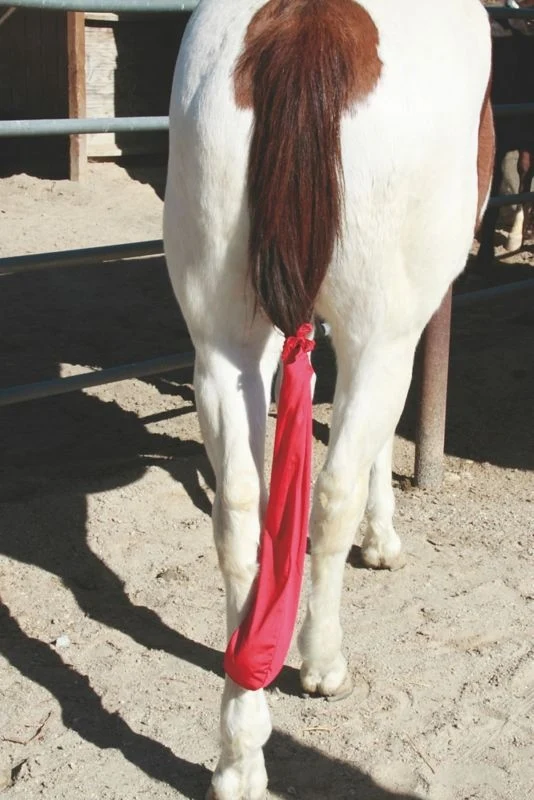 Tail Tamer Lycra Tail Bag Hot Pink Red / 31" Long