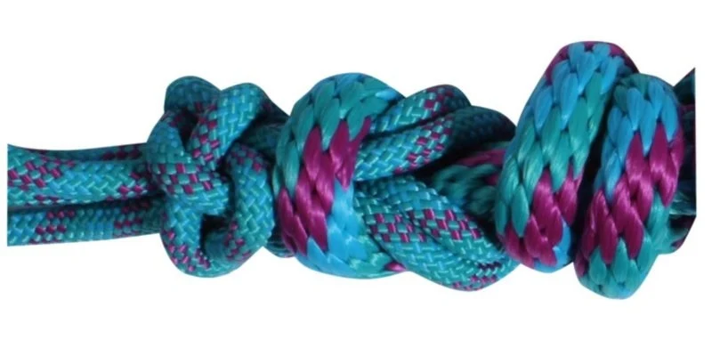 Professionals Choice Rope Halter with Lead Teal/Pink / Horse Average (800-1100lbs)
