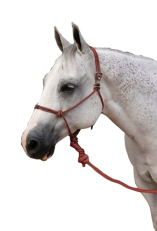 Pro Choice Easy-On Rope Halter with Lead Orange / Universal