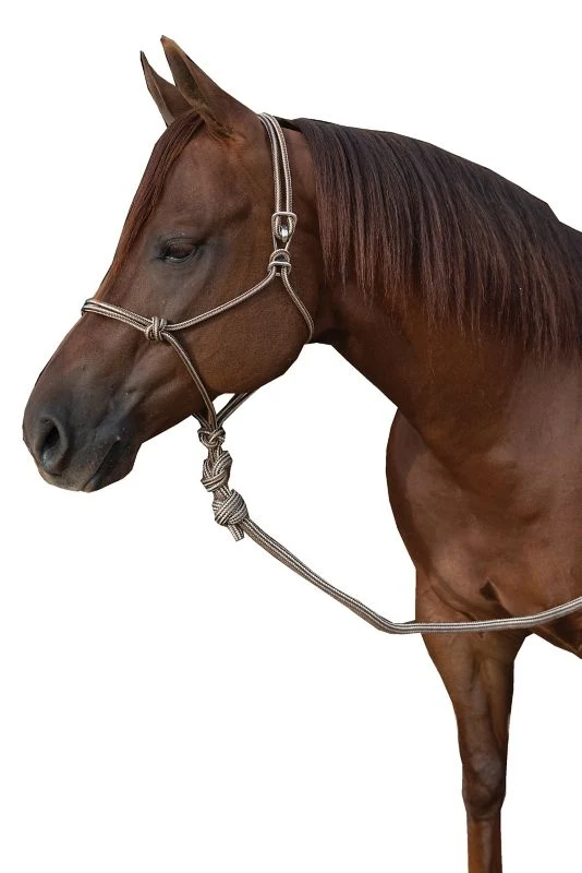 Pro Choice Easy-On Rope Halter with Lead Red / Universal
