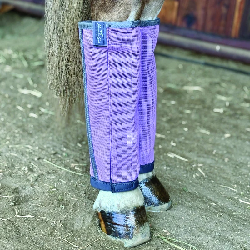 Professionals Choice Deluxe Fly Boots - 4 Pack Orchid / Medium