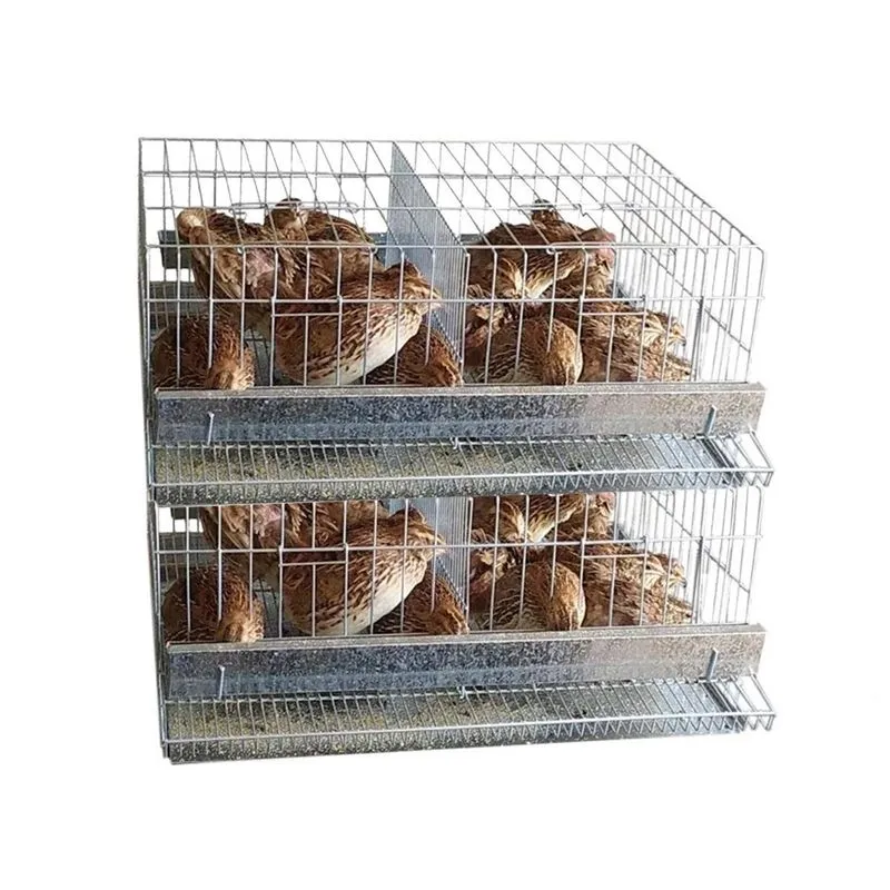 Kit 2 Gaiola Codorna Poedeira Viveiro Bateria 40 Aves Comuns