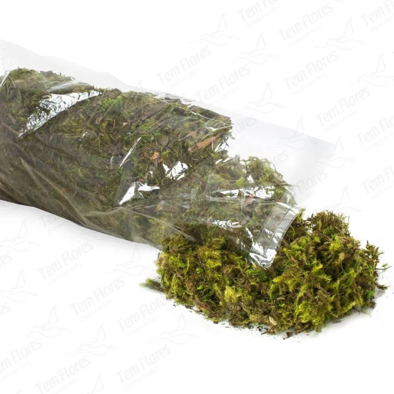 Musgo Seco Verde Saco Grande com aprox. 400 gramas