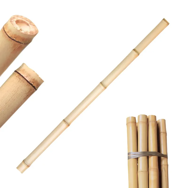 Bambu Tratado Para Construção 1 Metro BTC2M - 1 Unidade