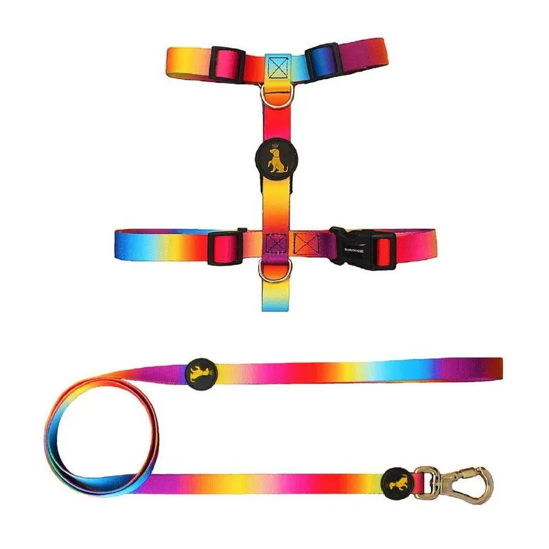 Coleira Peitoral H Com Guia Arco-íris Cachorros G Barkwhine