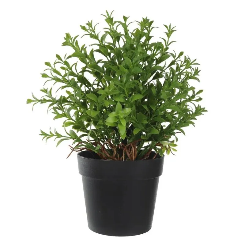 Arranjo Folhas Grass com Vaso 25cm Verde - Florarte