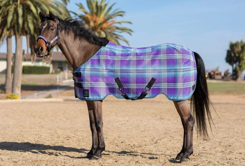 Kensington 73% UV Protective Fly Sheet Lavender Mint / 81"