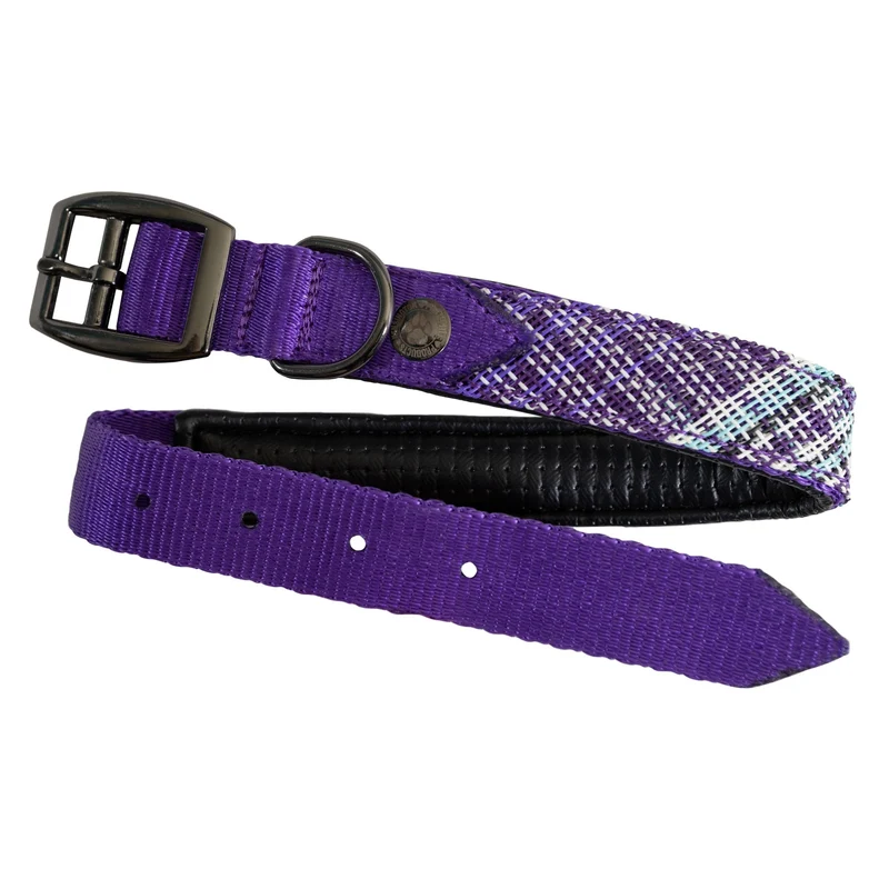 Kensington Nylon Dog Collar with Padding Lavendar Mint / XX-Large