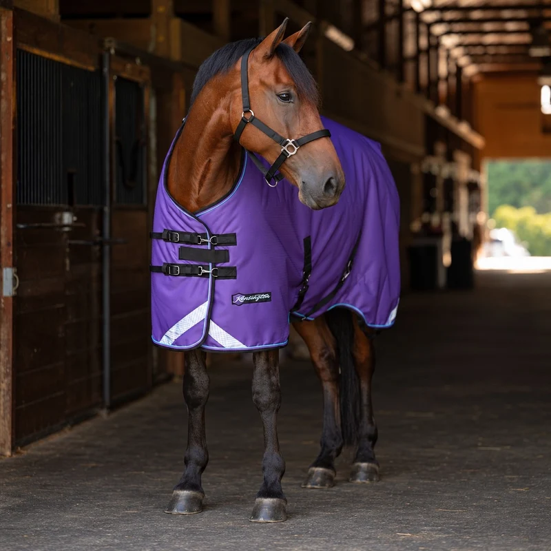 Kensington Horse 1200D SureFit Turnout 300g Purple / 78