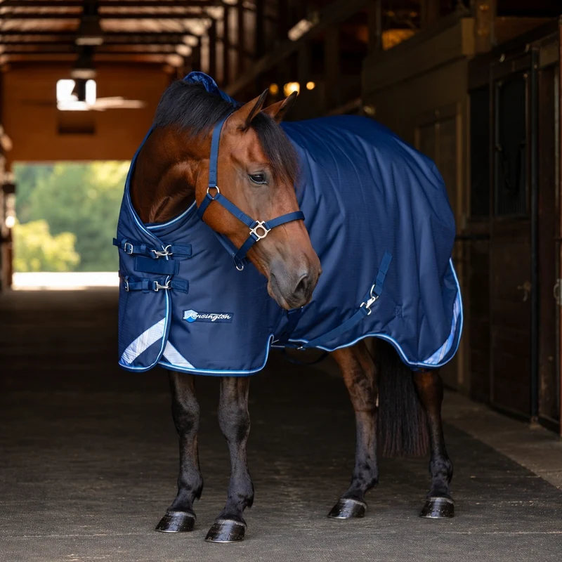 Kensington Horse 1200D SureFit Turnout 300g Navy / 81