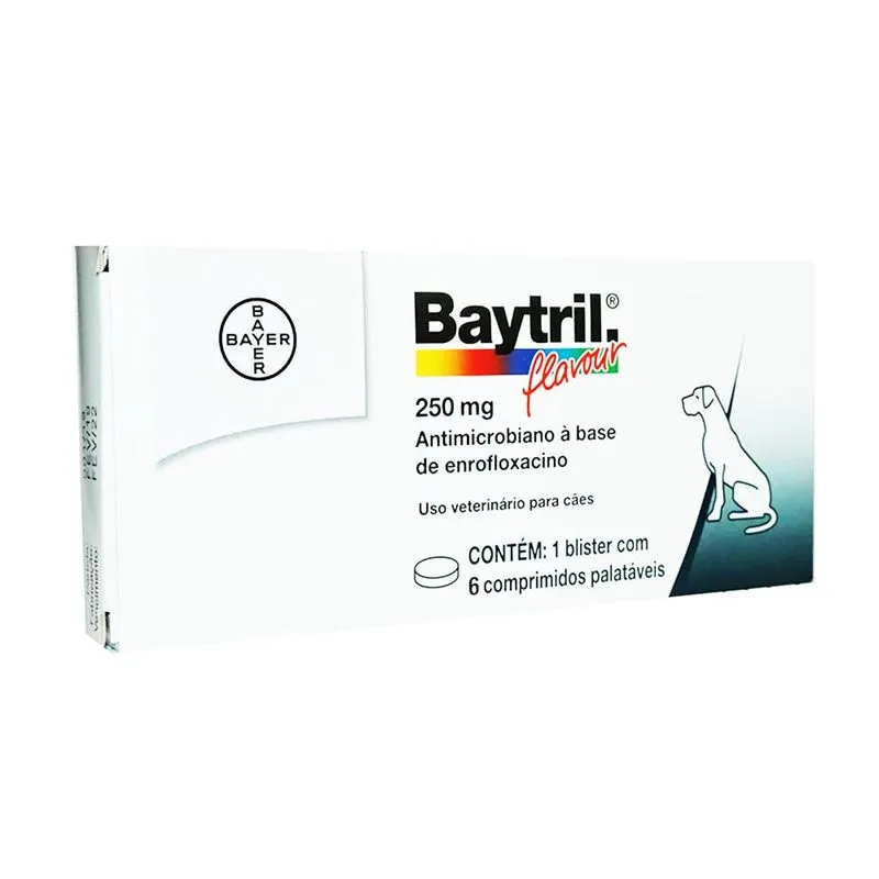 Baytril Flavour Cães Bayer 250mg