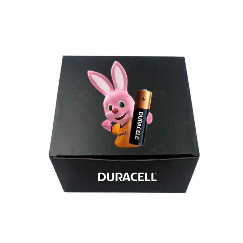 Pilhas Alcalinas Duracell aa - Pacote com 2 Unidades