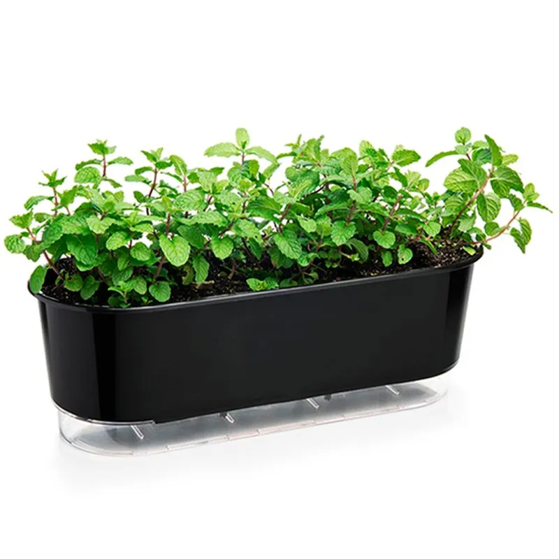 Jardineira Vaso Raiz Auto Irrigável 40cm Preto Plantar