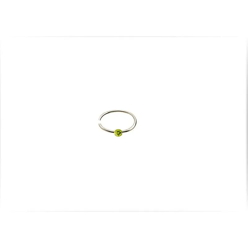 Piercing Argola Nariz Rosto Orelha Prateado Ponto Luz